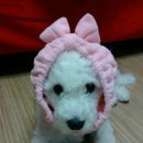뭉치