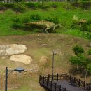 창원 고현리 공룡발자국화석 산지 이미지