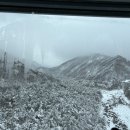 수정부동산 이미지