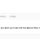 윤수목장 네이버블로그