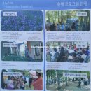 고성 하늬라벤더팜 축제 후기