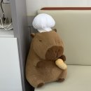 수원-1689 | 수원반미 찐맛집 영통반미는 역시 반미업! 경희대맛집으로 입소문난 베트남반미 리얼후기