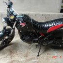 트로이온 이미지