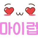 애견호텔 "중독" 이미지