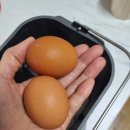 우유식빵 만들기 전문가 레시피 따라잡기