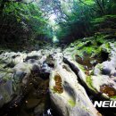 (주)여행버스 이미지