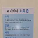 페디베네원주점
