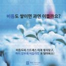 제이포레
