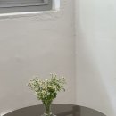 (주)은진투어 이미지