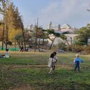 까치세탁 | 숲 체험, 아이에게 정말 필요할까요? - 2년 넘게 '동고비 숲학교' 보낸 엄마의 솔직 후기