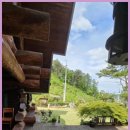 아르보르펜션 | 여주펜션 여주에서의 완벽한 휴식, 아르보르펜션