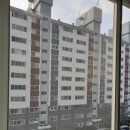 서라아파트 이미지