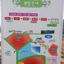 꽃양귀비마을 이미지