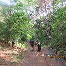 율리영해로 이미지