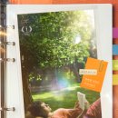 어거스트 이미지