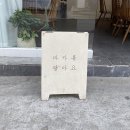 솔리디어