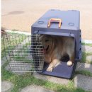 블루켄넬 이미지