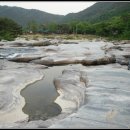 동호정(東胡亭) 티스토리
