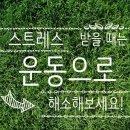 일단와봐유 이미지
