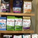 럭셔리펫 이미지