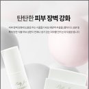 정화장품