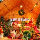 경기도 크리스마스 트리 서울근교 데이트 코스 가볼만한곳