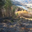 우리손 진안농장 이미지