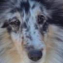 레디에이트(RADIATE) 이미지