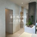 삼산웨딩공원 | 울산에스테틱 내돈내산 울산웨딩관리 스킨뮤제 후기