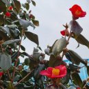 용산1리마을회관 이미지