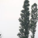 바다다방 이미지