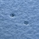 인주막창 | 연말의 끝은 잔고 0원