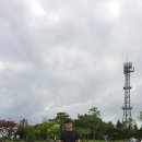 네이버 유료직업소개소 이미지