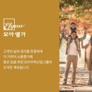 덕원이앤씨 이미지
