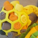 개. 이쁜날 이미지