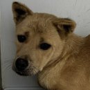 덕지천로 이미지