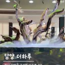 362-2-000034 | [담양 카페] 담양 신상카페 / 담양 아이와 가볼만한 곳 담양 대형수족관 카페 더하루 솔직후기