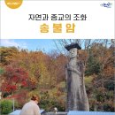 송불암