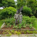 방림원 식물원 | 6월 7월 제주 서쪽 가볼만한곳 수국 정원 방림원 후기