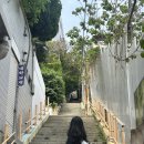 컬럼비아스포츠웨어 | 컬럼비아 본레 포레스트 20L 백팩 후기/ 3개월 사용 경량 백팩 추천