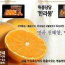 영숙농산물