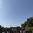 월드게임존 | [일본 오사카 여행] USJ 닌텐도 월드 &amp; 해리포터 존 후기(정리권 오후 입장)