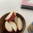 토론토 8월 일상 | 토론토 놀러온 내 덩생과의 일상 👩🏻👧🏻, 공항 마중 나가기, 다이마루 스키야키...