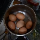 수란농장 이미지