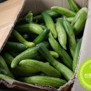 부래기농장 이미지