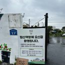 강아지 대통령 | 동물동반 가능한 독립서점 방문은 어떤데? 근데 책방지기가 전직 대통령. | 강아지랑 양산 평산책방 방문기