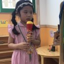 박채율 Daum카페