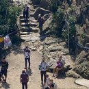 인진약국 이미지