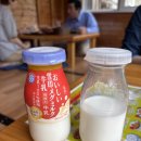 10월의 홋카이도 자유여행 3일차_노보리베츠 일일투어, 온천여행, 호혜이쿄온천, 도야호수온천...