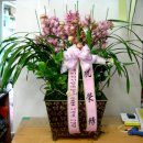 국민은행안양동지점 이미지